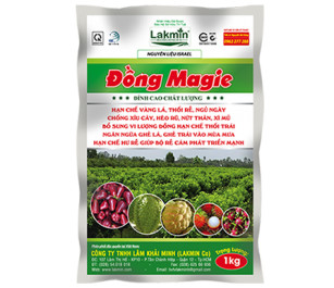 dong-magie